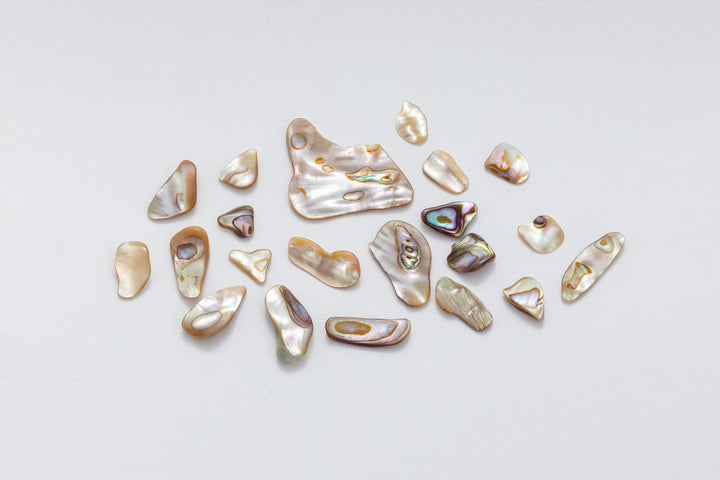 שרשרת צדף אבלון