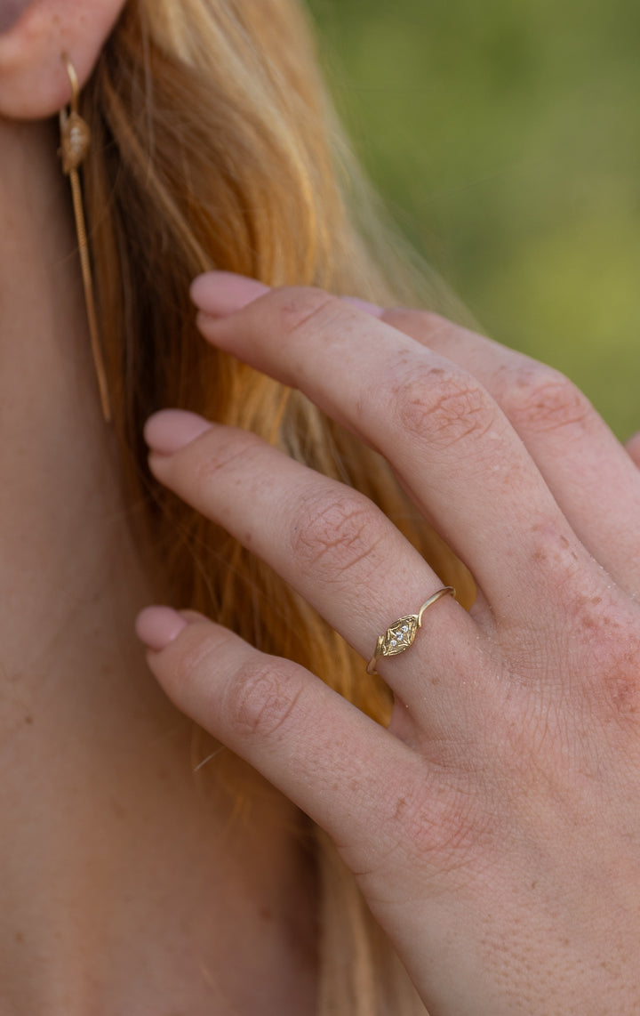 טבעת קנה סוף