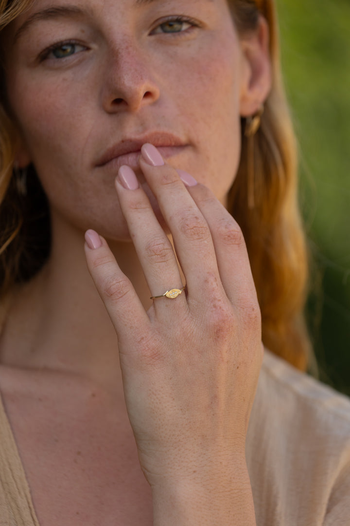 טבעת קנה סוף