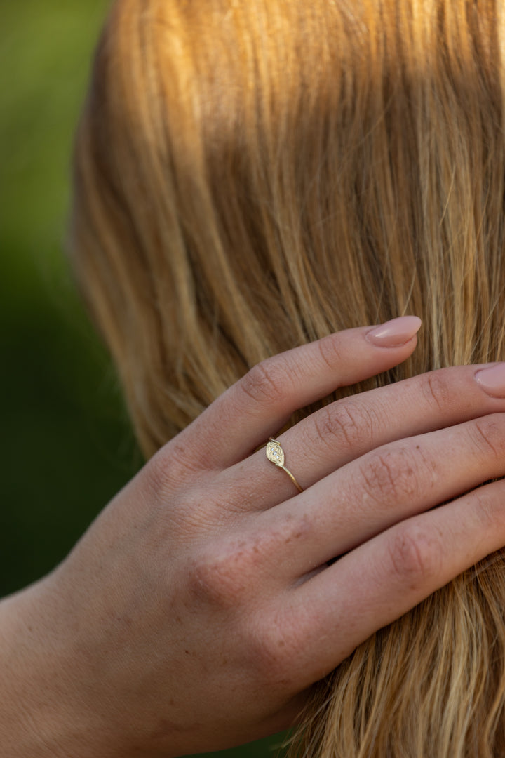 טבעת קנה סוף