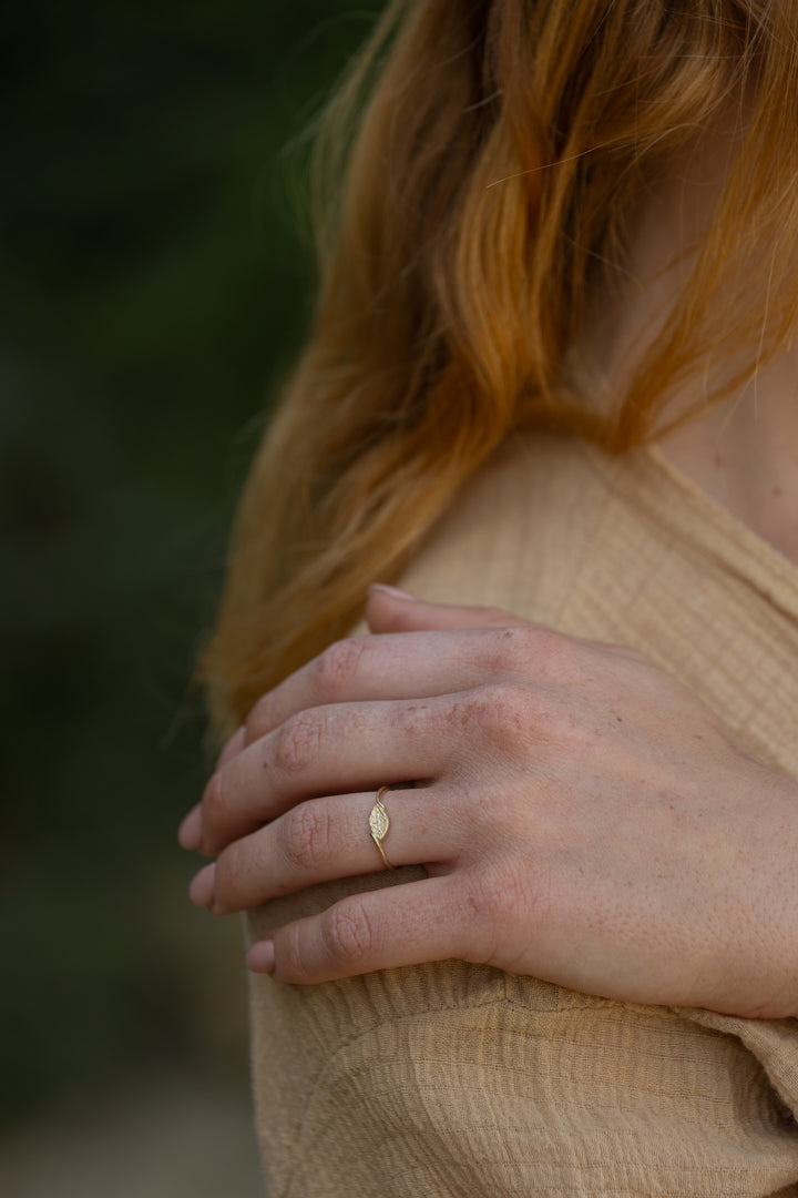 טבעת קנה סוף