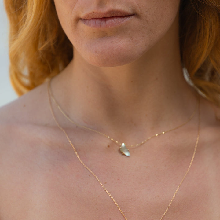 שרשרת צדף אבלון