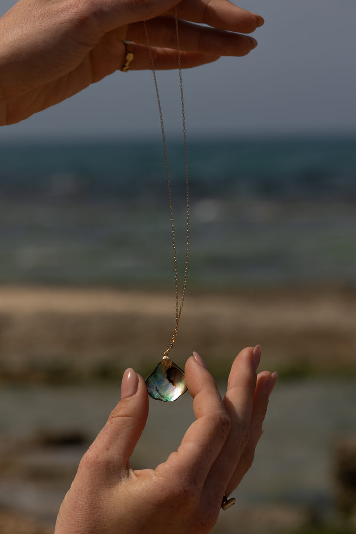 שרשרת צדף אבלון ויהלום