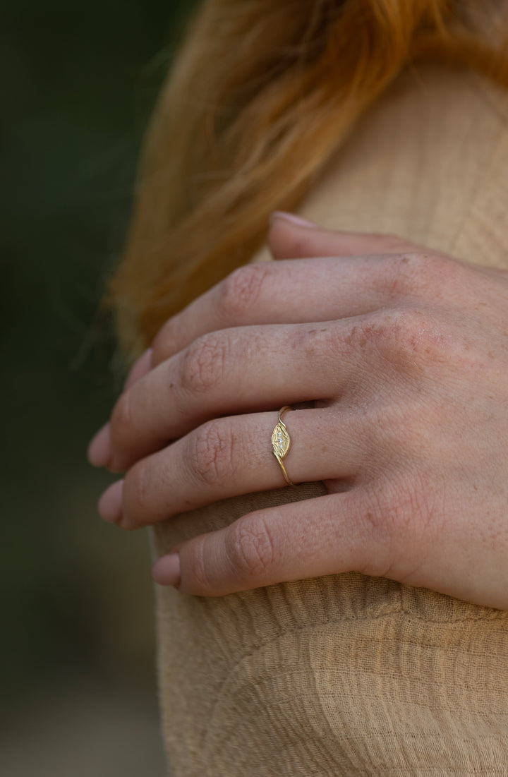 טבעת קנה סוף